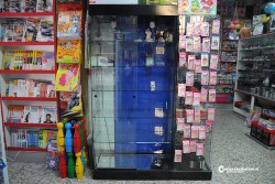 Banda del “buco” in azione a Tuglie, svaligiata cartolibreria profumeria - Corriere Salentino