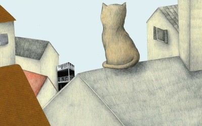 gatto