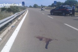 Sbanda con la moto e scivola sull'asfalto: idraulico 34enne muore in ospedale - Corriere Salentino