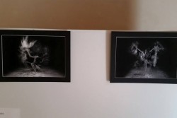 “Respiro”: la fotografia al servizio della città. Un contest e una mostra per la sostenibilità ambientale - Corriere Salentino