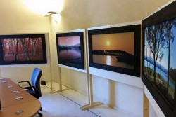 “Respiro”: la fotografia al servizio della città. Un contest e una mostra per la sostenibilità ambientale - Corriere Salentino