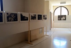 “Respiro”: la fotografia al servizio della città. Un contest e una mostra per la sostenibilità ambientale - Corriere Salentino