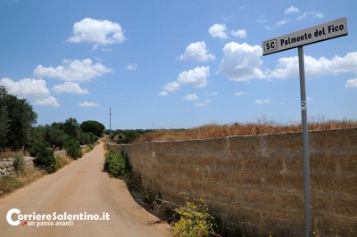 palmento-del-fico-(1)