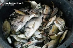 Pesca solidale a Casalabate, l'evento è un successo: il resoconto della giornata - Corriere Salentino