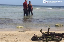 Bagnanti lanciano l'allarme: "Venite, c'è uno scheletro in mare", ma sono resti animali  - Corriere Salentino