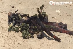 Bagnanti lanciano l'allarme: "Venite, c'è uno scheletro in mare", ma sono resti animali  - Corriere Salentino