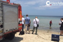 Bagnanti lanciano l'allarme: "Venite, c'è uno scheletro in mare", ma sono resti animali  - Corriere Salentino
