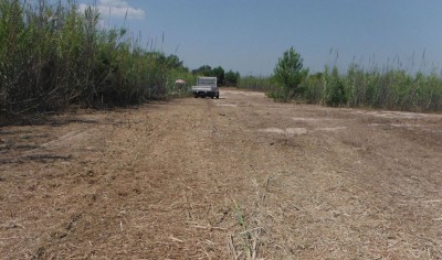 7.Sequestro-parcheggio-abusivo-Gallipoli