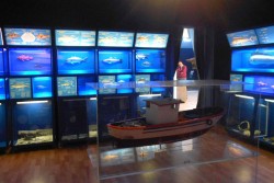 "Un'Estate al Museo": iniziativa del Museo di Biologia Marina di Porto Cesareo - Corriere Salentino