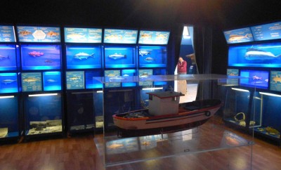 Museo-Biologia-Marina
