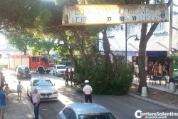 Grosso ramo si spezza e si abbatte sulla sedia di un bar, per fortuna nessun ferito - Corriere Salentino