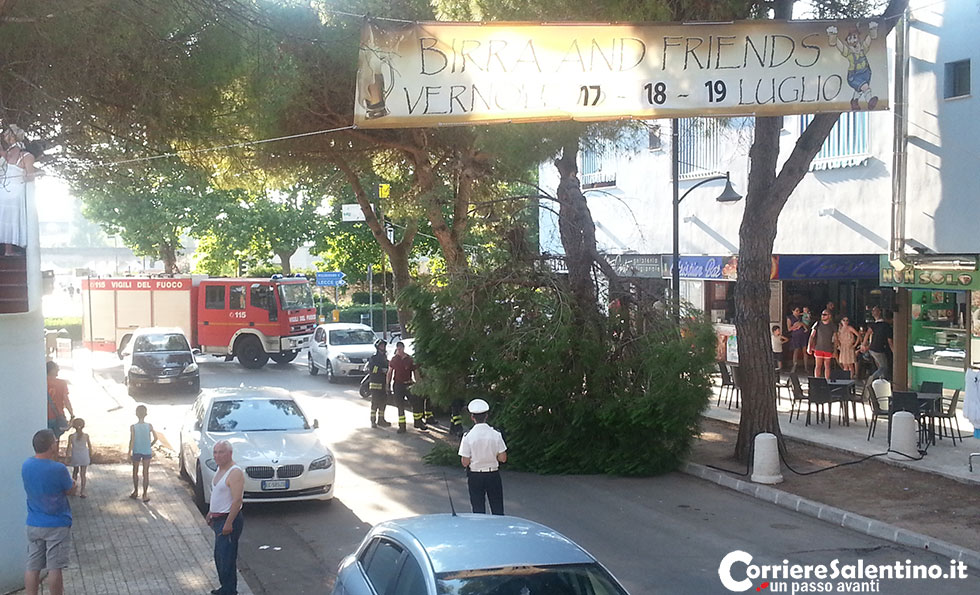 Grosso ramo si spezza e si abbatte sulla sedia di un bar, per fortuna nessun ferito