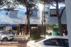 Grosso ramo si spezza e si abbatte sulla sedia di un bar, per fortuna nessun ferito - Corriere Salentino