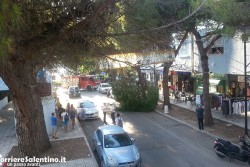 Grosso ramo si spezza e si abbatte sulla sedia di un bar, per fortuna nessun ferito - Corriere Salentino