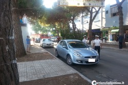 Grosso ramo si spezza e si abbatte sulla sedia di un bar, per fortuna nessun ferito - Corriere Salentino