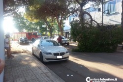 Grosso ramo si spezza e si abbatte sulla sedia di un bar, per fortuna nessun ferito - Corriere Salentino