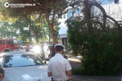 Grosso ramo si spezza e si abbatte sulla sedia di un bar, per fortuna nessun ferito - Corriere Salentino