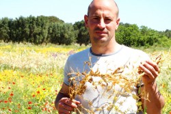 Nasce la Comunità dei Produttori dei Legumi di Zollino - Corriere Salentino