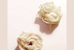 Concita De Gregorio a Sternatia ospite della rassegna "Portami a leggere" - Corriere Salentino