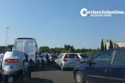 Xylella: al vertice in Prefettura risponde la protesta dei florovivaisti - Corriere Salentino