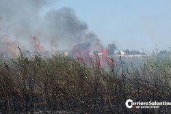 Vasto incendio nel canneto, fumo e disagi sulla litoranea tra Torre Chianca e Torre Rinalda - Corriere Salentino