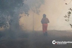 Vasto incendio nel canneto, fumo e disagi sulla litoranea tra Torre Chianca e Torre Rinalda - Corriere Salentino