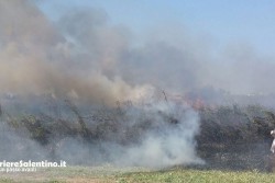 Vasto incendio nel canneto, fumo e disagi sulla litoranea tra Torre Chianca e Torre Rinalda - Corriere Salentino