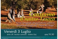 "Censiamo il nostro Tesoro arboreo": se ne parla a Soleto - Corriere Salentino