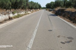 Sbanda con la moto e finisce fuori strada: vittima un 31enne. Morto anche il falegname di Uggiano - Corriere Salentino