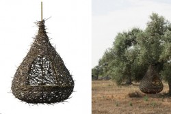 "Nidificare i Paduli", scelti i vincitori della III° edizione - Corriere Salentino
