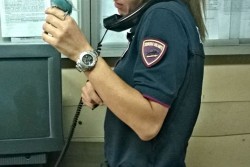 Pappagallino senza acqua né cibo e con le ali tagliate: era usato per intrattenere i turisti. Due denunce - Corriere Salentino