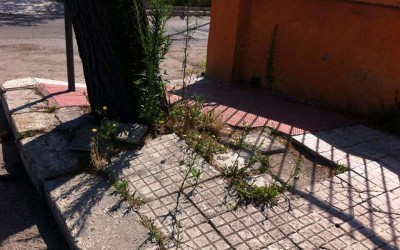 viale foscolo (4)