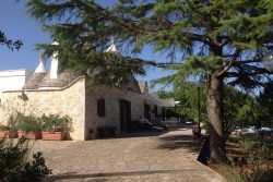 Cosa visitare: Il fascino antico dei trulli del Salento per un soggiorno esclusivo - Corriere Salentino