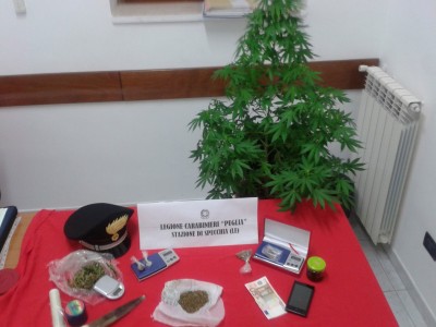 foto-sequestro-11-08-15