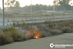 Paura in tangenziale est,incendio a ridosso del distributore di benzina - Corriere Salentino