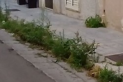 D'Agata: "Anche il quartiere Rudiae-Ferrovia dimenticato dall'amministrazione comunale" - Corriere Salentino