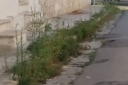 D'Agata: "Anche il quartiere Rudiae-Ferrovia dimenticato dall'amministrazione comunale" - Corriere Salentino