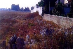 Trovati tre chili di hashish nel muretto a secco, si indaga - Corriere Salentino