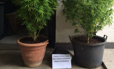 10505604_1182321848451404_3492830202031244379_n