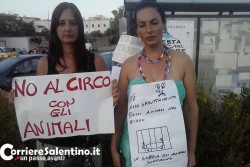 “No al circo!”, gli animalisti protestano davanti all'Orfei di Gallipoli - Corriere Salentino