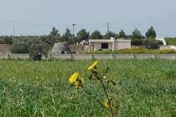 Abusivismo, a San Donato di Lecce in 12 nei guai - Corriere Salentino