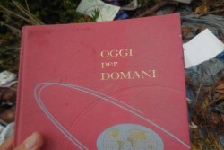 “Oggi per domani", Anpana Lecce: «Provvediamo oggi per un ambiente migliore domani» - Corriere Salentino