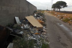 “Oggi per domani", Anpana Lecce: «Provvediamo oggi per un ambiente migliore domani» - Corriere Salentino