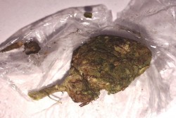 Cerca di passare "erba" al convivente detenuto: arrestata una 32enne di Cavallino - Corriere Salentino