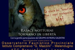 "I Signori della notte": domani a Melendugno la liberazione dei rapaci curati dall'Osservatorio Faunistico - Corriere Salentino