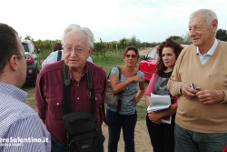 Xylella: la ricerca scientifica conferma resistenza del leccino - Corriere Salentino