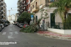 Maltempo, pioggia e danni: crolla tettoia di area servizio, alberi sradicati ed allagamenti in tutto il Salento - Corriere Salentino