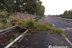 Maltempo, pioggia e danni: crolla tettoia di area servizio, alberi sradicati ed allagamenti in tutto il Salento - Corriere Salentino