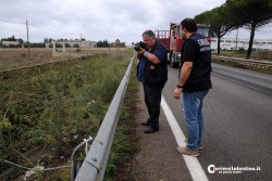 Nuovo assalto al "Mercatone Uno": sradicano cassaforte ma fuggono a mani vuote: ingenti i danni - Corriere Salentino