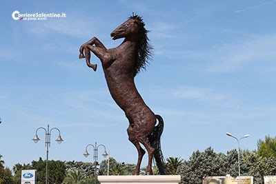 cavallino